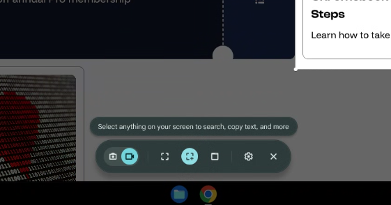 Screen capture panel. Screen capture panel.
