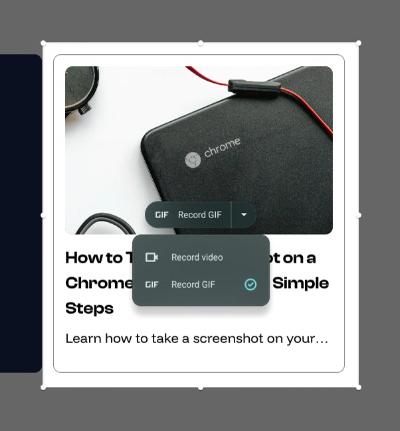 Selection box highlighting the option to record video or GIF. Selection box highlighting the option to record video or GIF.